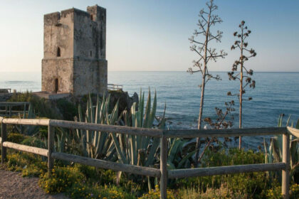 5d2904695753127b98dd2619d30517ba - 16