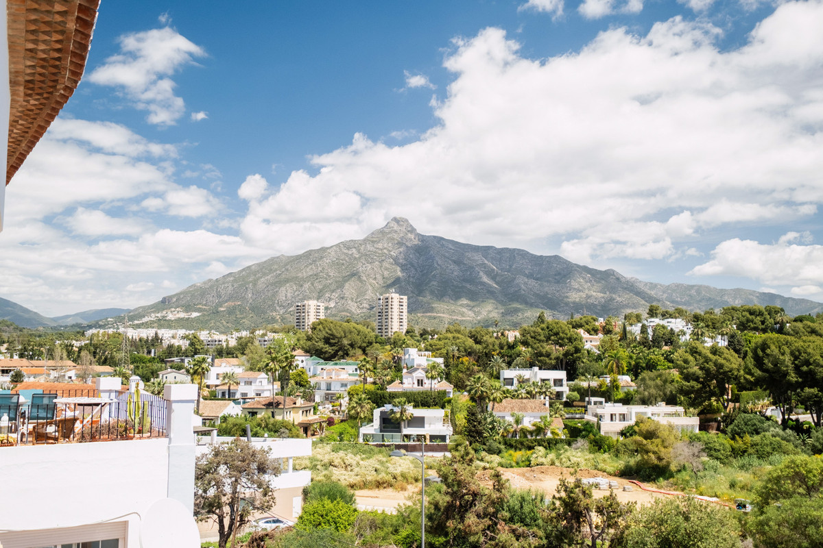 5d2952608845b707aa60541b7d23c28d - 36