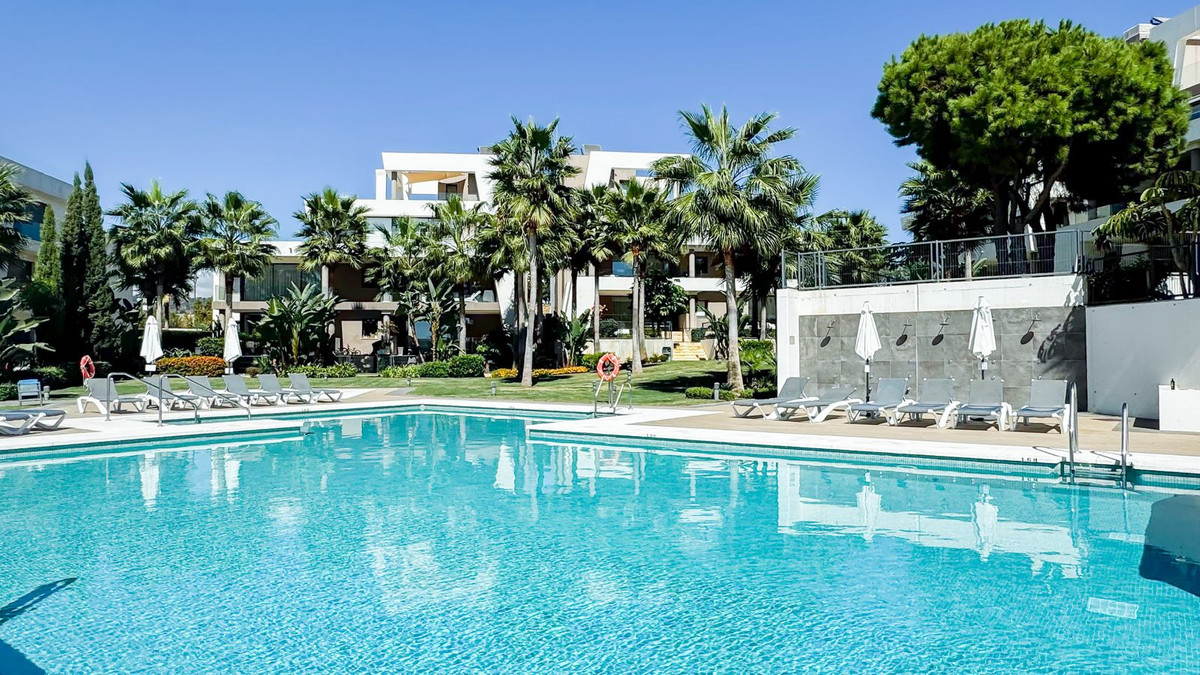 5d4a3db4d791208f2703f1c9fe4d796b - 24