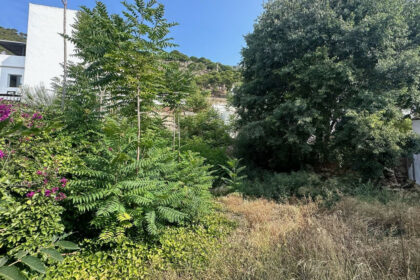 5e1ab5ce1dd1a593b2d41ab421580b3b - 1