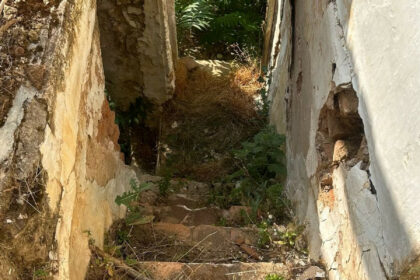 5e1ab5ce1dd1a593b2d41ab421580b3b - 14