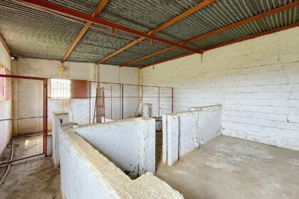 5e1ebdba304506a7b06575ed4e75e2cf - 12