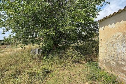 5e1ebdba304506a7b06575ed4e75e2cf - 22