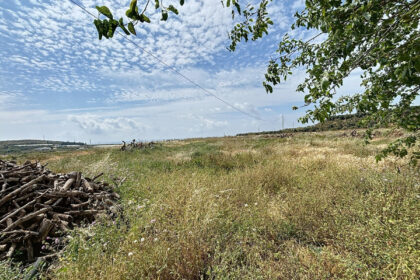 5e1ebdba304506a7b06575ed4e75e2cf - 24