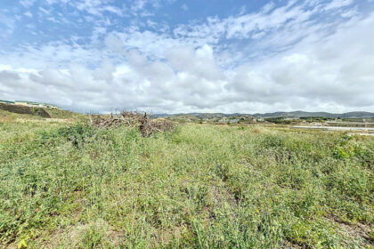 5e1ebdba304506a7b06575ed4e75e2cf - 26