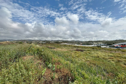 5e1ebdba304506a7b06575ed4e75e2cf - 27