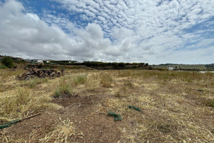 5e1ebdba304506a7b06575ed4e75e2cf - 30