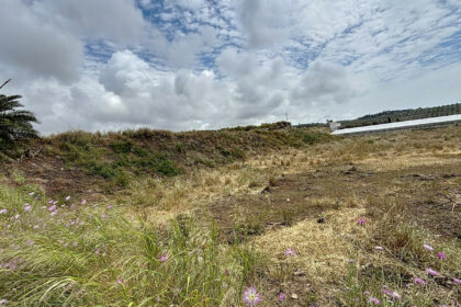 5e1ebdba304506a7b06575ed4e75e2cf - 32