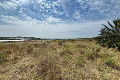 5e1ebdba304506a7b06575ed4e75e2cf - 33