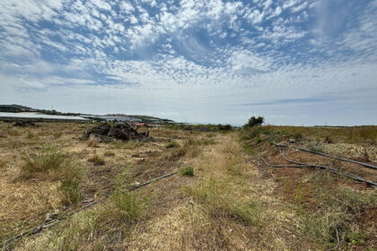 5e1ebdba304506a7b06575ed4e75e2cf - 34