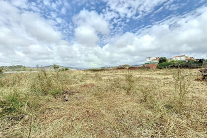 5e1ebdba304506a7b06575ed4e75e2cf - 38