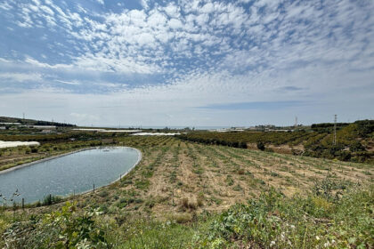 5e1ebdba304506a7b06575ed4e75e2cf - 4