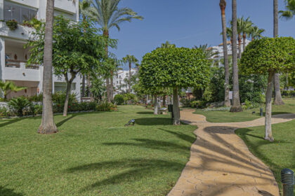 5f604c2b60b5a34a5de4b60739789bee - 20