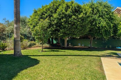 6052c3702b7df3fae7270b43451de172 - 54