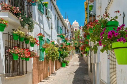 611135520eb7987f565c273918e315dd - 22