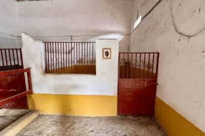 6463bdee4aa90e5f2b64409f3b70ce47 - 75