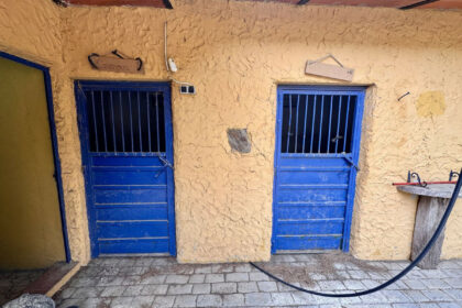 6463bdee4aa90e5f2b64409f3b70ce47 - 82