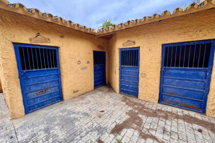 6463bdee4aa90e5f2b64409f3b70ce47 - 84