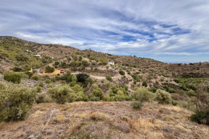 6463bdee4aa90e5f2b64409f3b70ce47 - 91