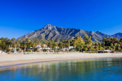 66505e0c018727c9eecf2be510fb49a8 - 31