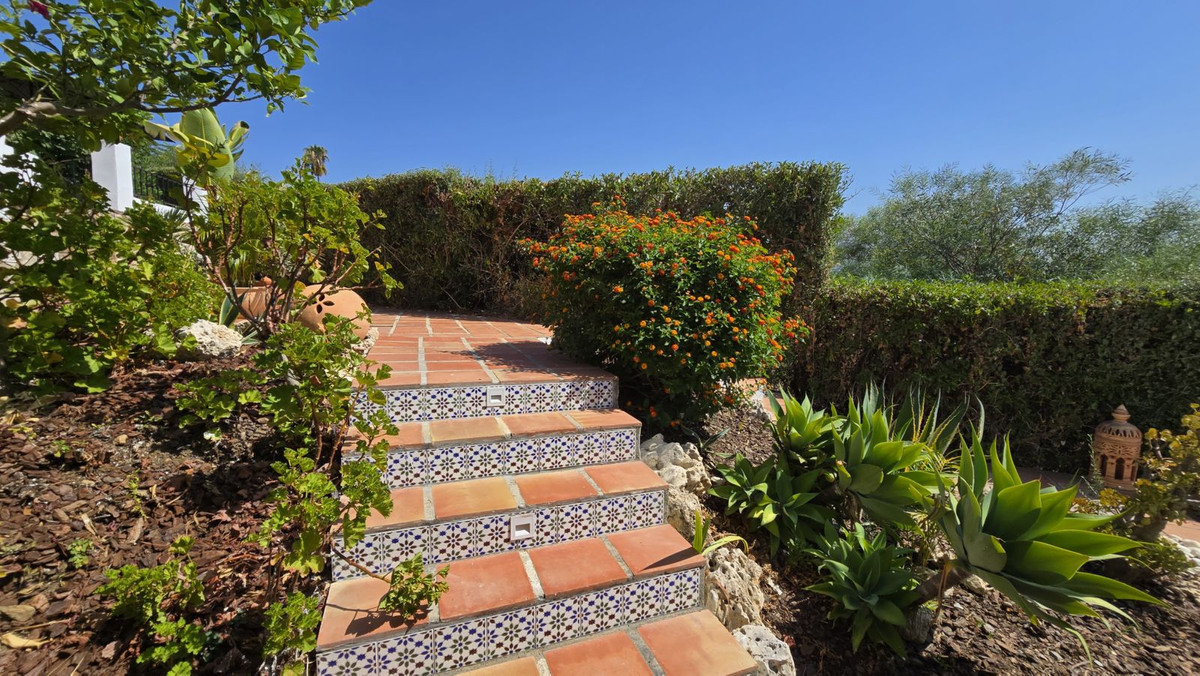 67d904867c35c8a2614f458d239c5833 - 52