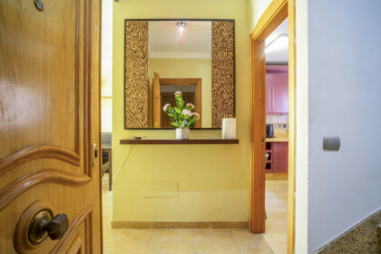 69d4b30acf2cc670a5dcce78af447c19 - 24