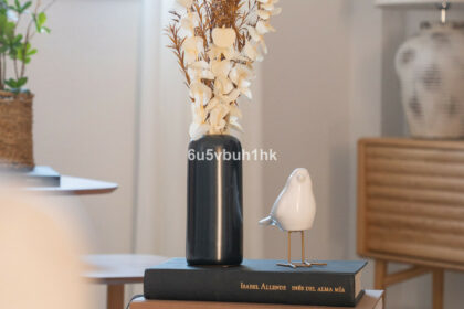 6c1efecf33a446a1e00297065b2c75d0 - 11