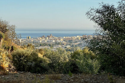 6d29a2003d525760e4b13ef420bca1ff - 3