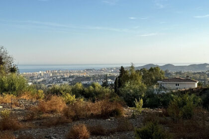 6d29a2003d525760e4b13ef420bca1ff - 4