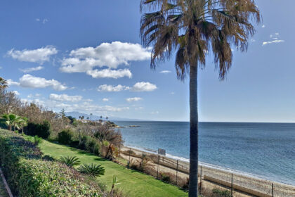 6dc4be1dc6c7803587e9070d1989d8de - 31