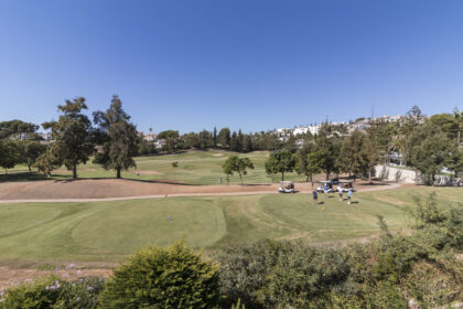 6de3966a10a6f96783d1414320026de1 - 16