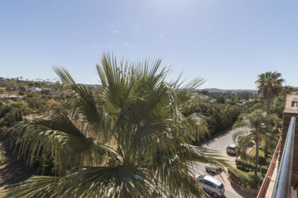 6de3966a10a6f96783d1414320026de1 - 28