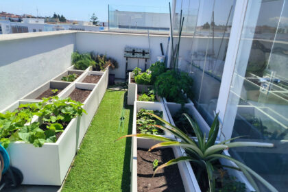 6dead480c1dcb0746a53e487e5f6dbbe - 56