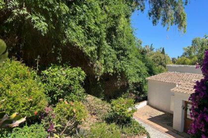 6fbb35883ea44e15d454d49c0007bdb2 - 24