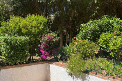 6fbb35883ea44e15d454d49c0007bdb2 - 28