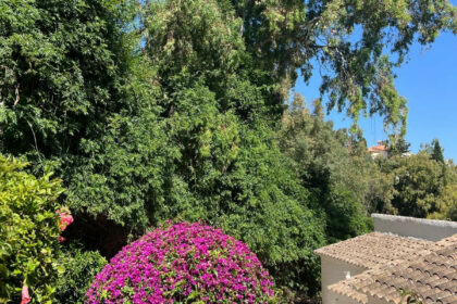 6fbb35883ea44e15d454d49c0007bdb2 - 29