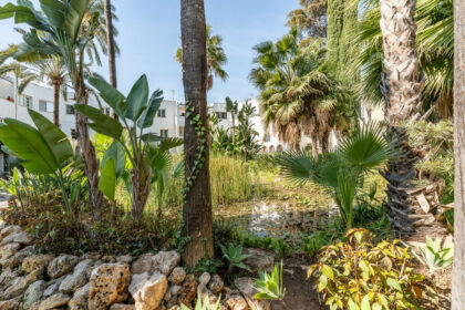 722d1f01c46e4f8381a65661943c3b8b - 39