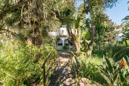 722d1f01c46e4f8381a65661943c3b8b - 41