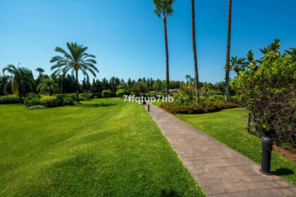 72e8efef85fe6bf8f6e558f596a38259 - 2