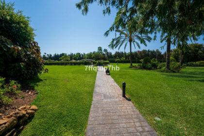 72e8efef85fe6bf8f6e558f596a38259 - 22