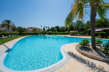 72e8efef85fe6bf8f6e558f596a38259 - 24