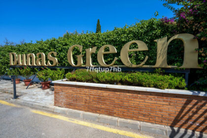 72e8efef85fe6bf8f6e558f596a38259 - 28