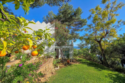 73df82969aa58f9e2022f2b958b08619 - 30