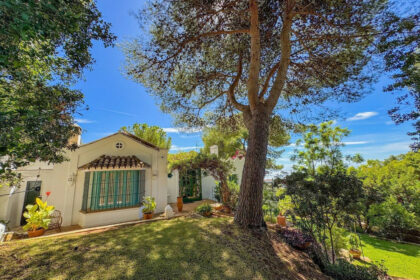 73df82969aa58f9e2022f2b958b08619 - 33