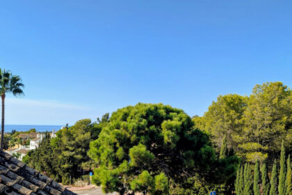 7424709522a997ee77f1fa4a4afbe119 - 22