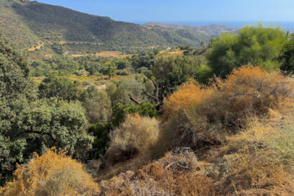 74eb8ba2c396676193f006258fb0a612 - 1