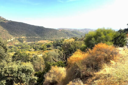 74eb8ba2c396676193f006258fb0a612 - 2