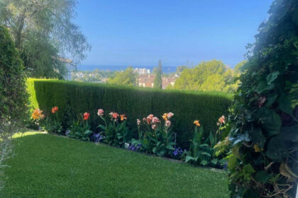 762e420d8cbaff45e300388ca4271286 - 22