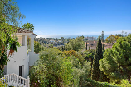 762e420d8cbaff45e300388ca4271286 - 40