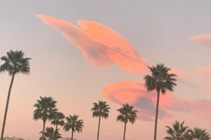 7889ed27f7672660b76bc144197ff3af - 22